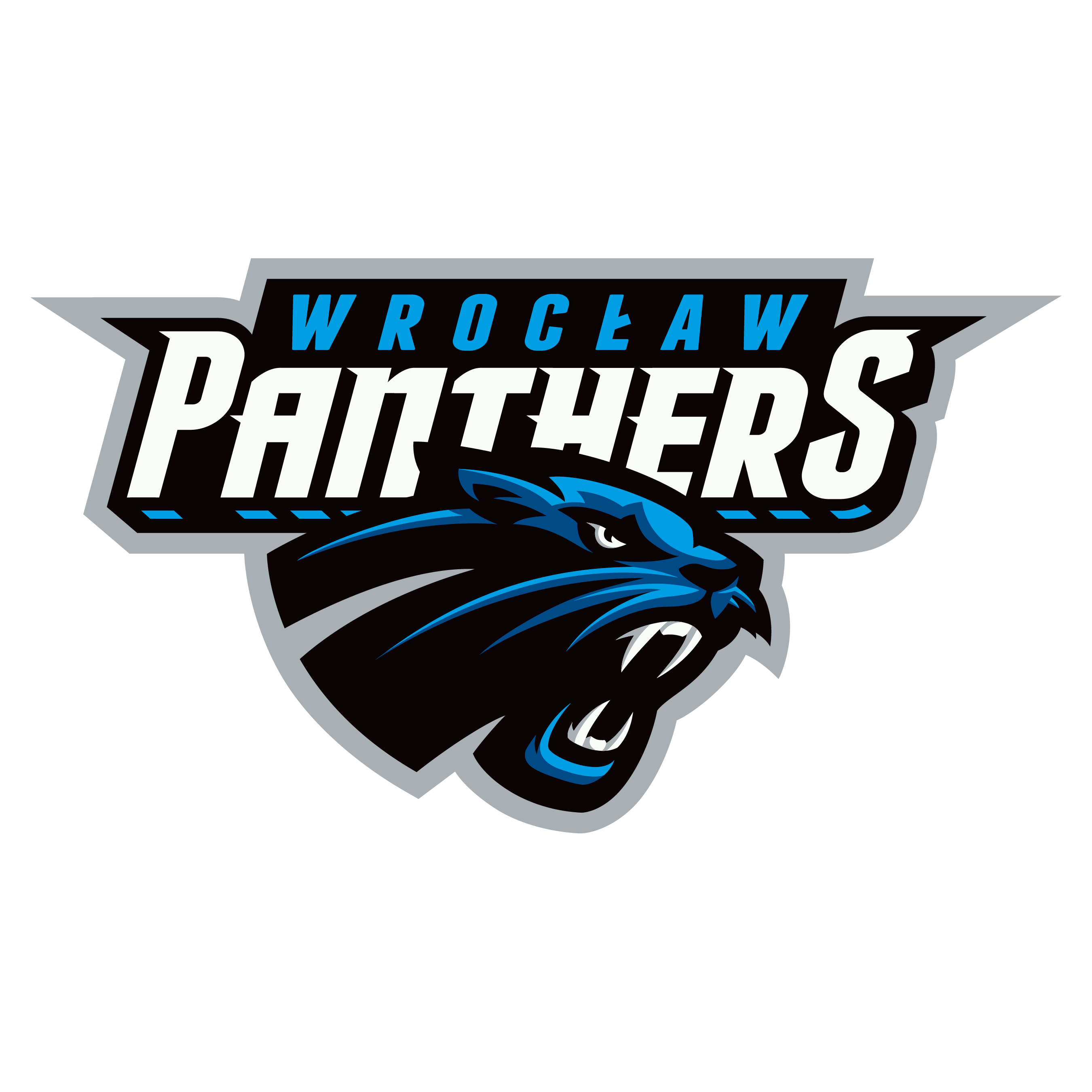 Team Logo